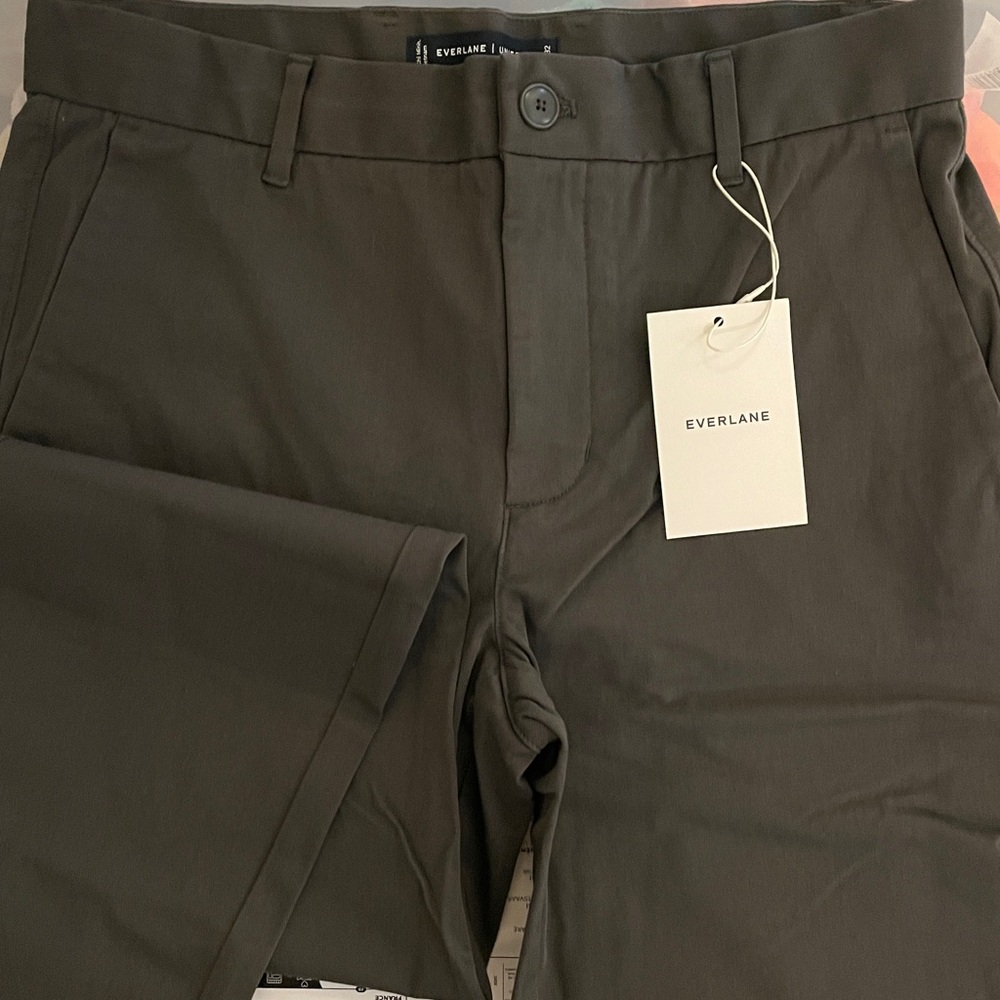 Everlane Brown Chinos Classic Style